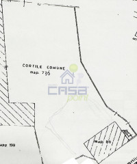 PLAN-AREA.jpeg