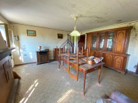 IMG_7485.jpg