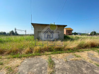 IMG_7496.jpg