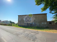 IMG_7504.jpg