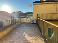 IMG_9832.jpg