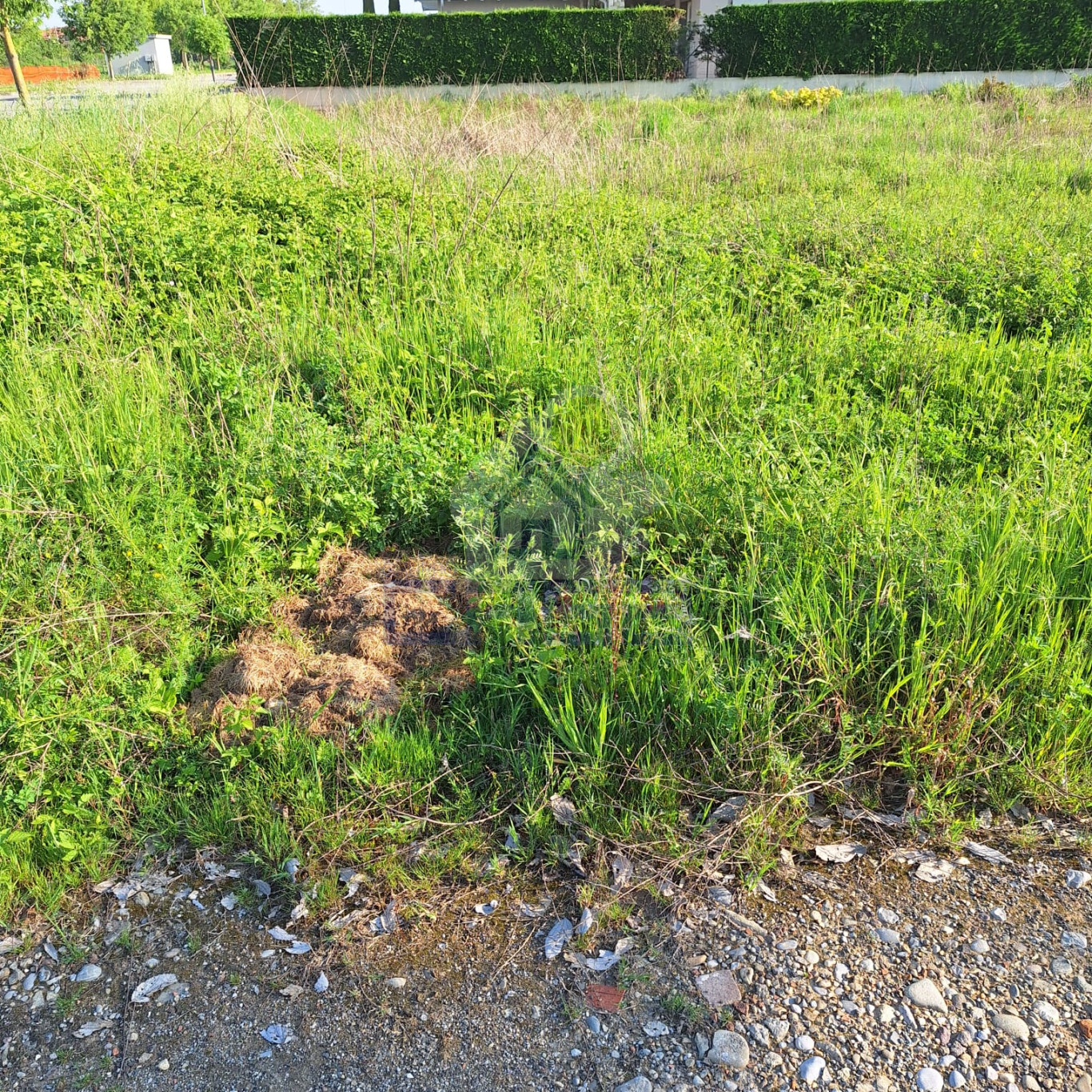 WhatsApp Image 2024-04-26 at 09.40.16 (5).jpeg