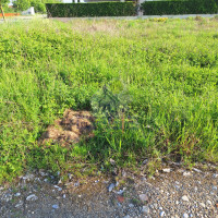 WhatsApp Image 2024-04-26 at 09.40.16 (5).jpeg