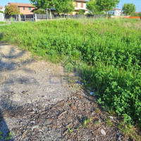 WhatsApp Image 2024-04-26 at 09.40.16 (7).jpeg