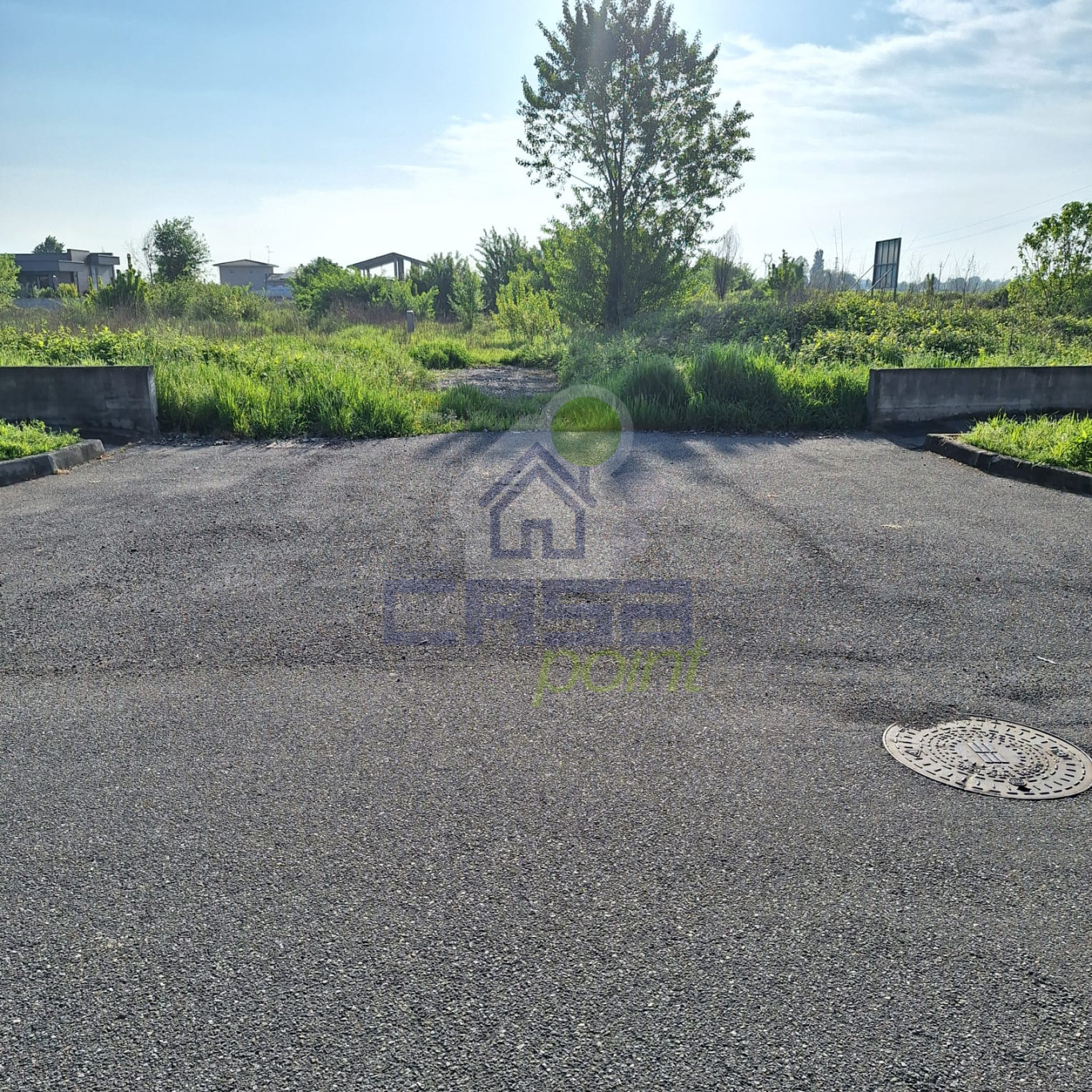 WhatsApp Image 2024-04-26 at 09.40.16.jpeg