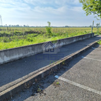 WhatsApp Image 2024-04-26 at 09.40.17.jpeg