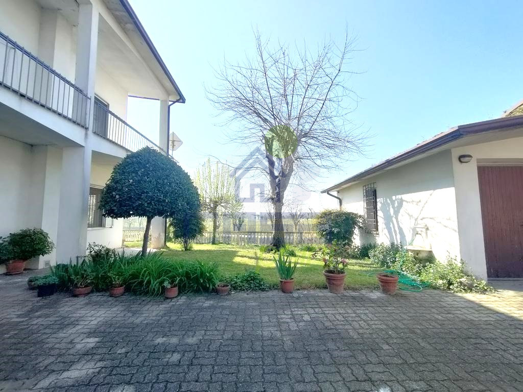 IMG20250404105753.jpg