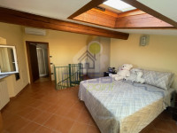 LETTO