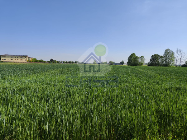 Area artigianale edificabile sita in Vescovato