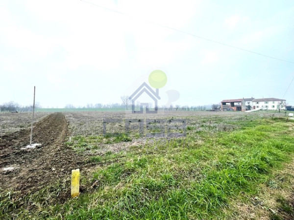 TERRENO AGRICOLO NEL COMUNE DI  MONTICELLI D'ONGINA