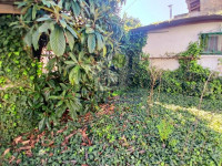 Cortile