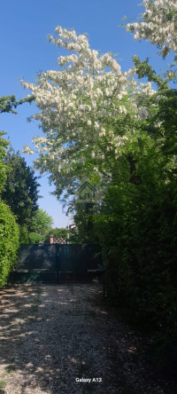 giardino 5.jpeg