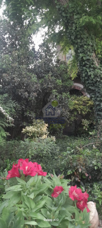 giardino2.jpeg