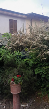 giardino3.jpeg