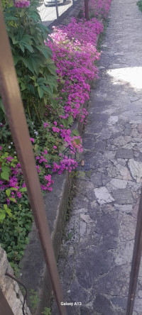 giardino4.jpeg