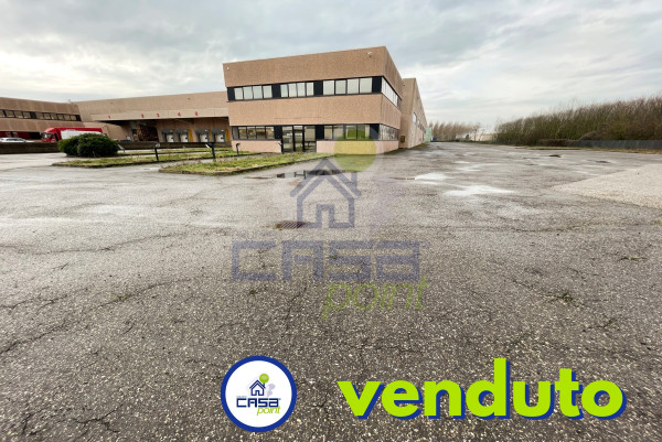 Capannone Artigianale/industriale con ampia area di manovra