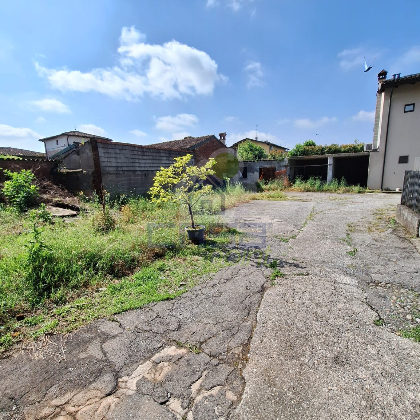 WhatsApp Image 2024-06-10 at 10.47.03 (3).jpeg