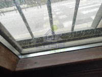 IMG20250423093856.jpg
