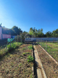 ORTO-1.jpg