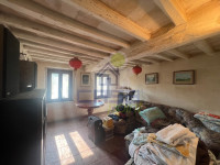 IMG_7856.jpg