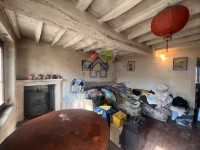 IMG_7857.jpg