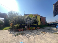 IMG_7864.jpg