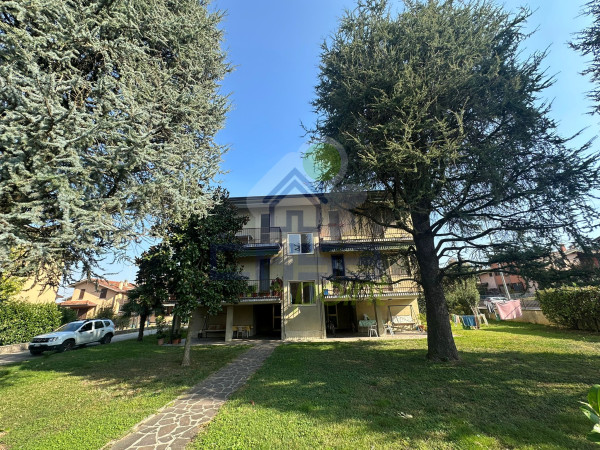 LA ZONA PIU' AMBITA DAI BANINI