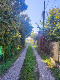 INGRESSO ALLA CORTE