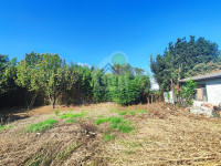 ORTO DI PROPRIETà