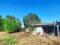 AREA VERDE DI PERTINENZA