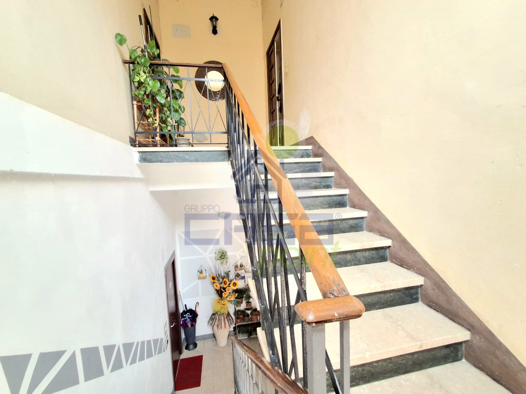 8ce7abad-c695-40ba-91d3-33a8e2f45ff8.jpg