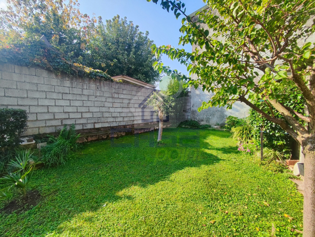 GIARDINO (2).jpg