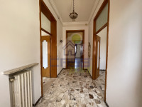 Ingresso