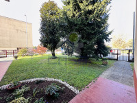 IMG_4999.jpeg