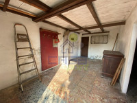 IMG_9747.jpg