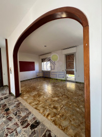 WhatsApp Image 2026-02-25 at 09.56.20 (8).jpeg