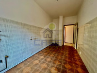 WhatsApp Image 2026-02-09 at 17.47.57 (1).jpeg