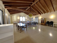 IMG_3866 Grande.jpeg