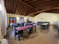 IMG_3870 Grande.jpeg