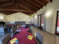 IMG_3872 Grande.jpeg