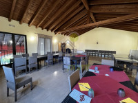 IMG_3873 Grande.jpeg