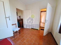 DX_disimp ZN_1-1024x768.jpg