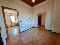 SX_ disimp-1024x768.jpg