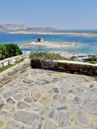 UN RIFUGIO D'ANIMA, UN AMORE A PRIMA VISTA..