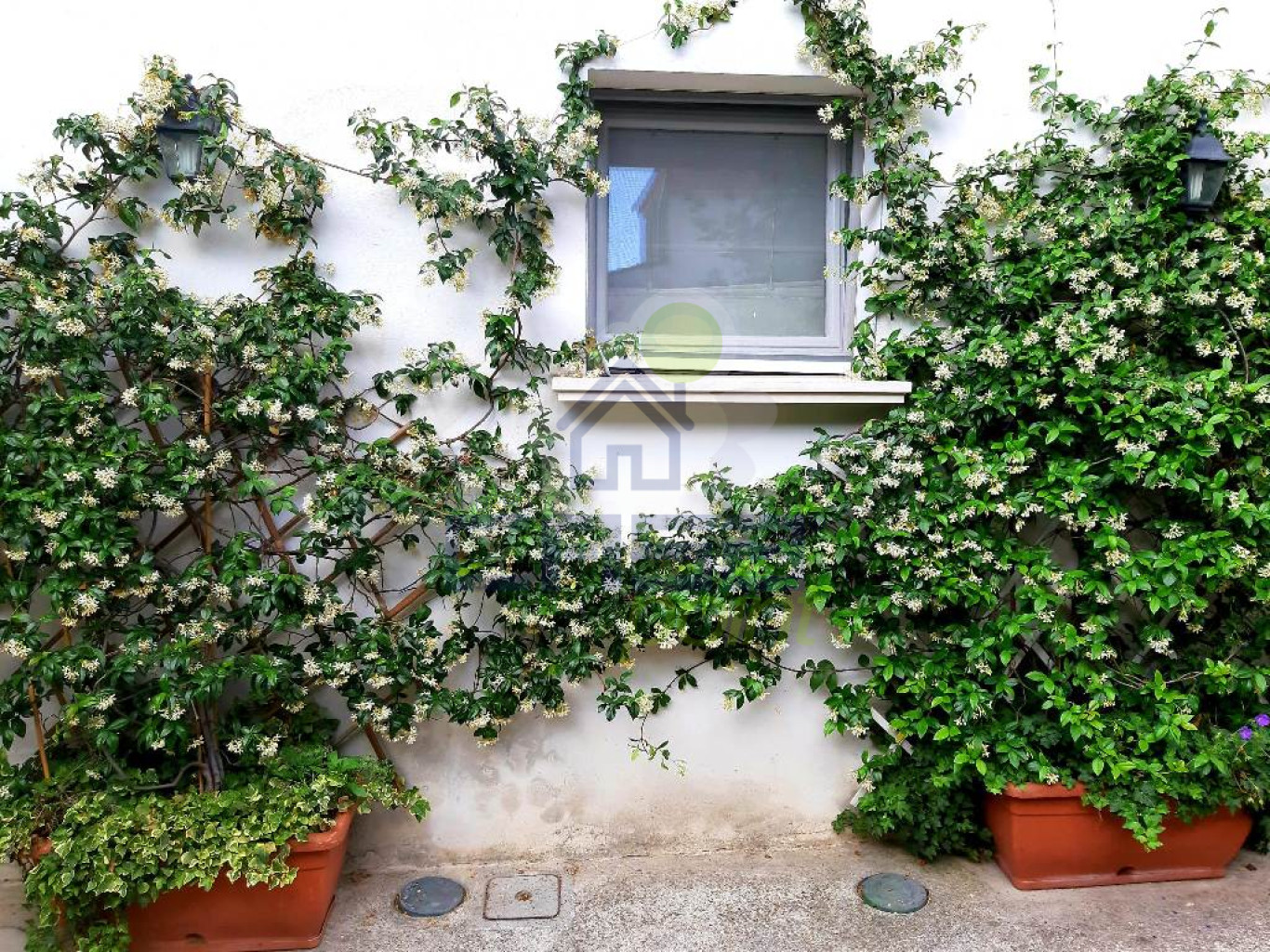 WhatsApp Image 2025-12-23 at 10.57.06.jpeg