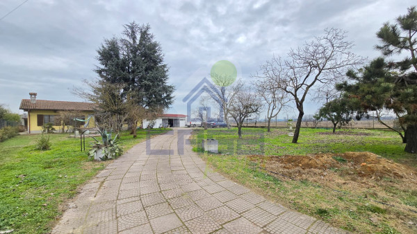 Villa Monopiano con Giardino Esclusivo e Box