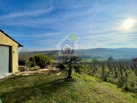 VILLA INDIPENDENTE CON VIGNETO NELLE COLLINE DELLA VAL TIDONE