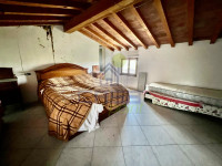 Immagine WhatsApp 2025-03-26 ore 18.54.47_941bc5d0.jpg