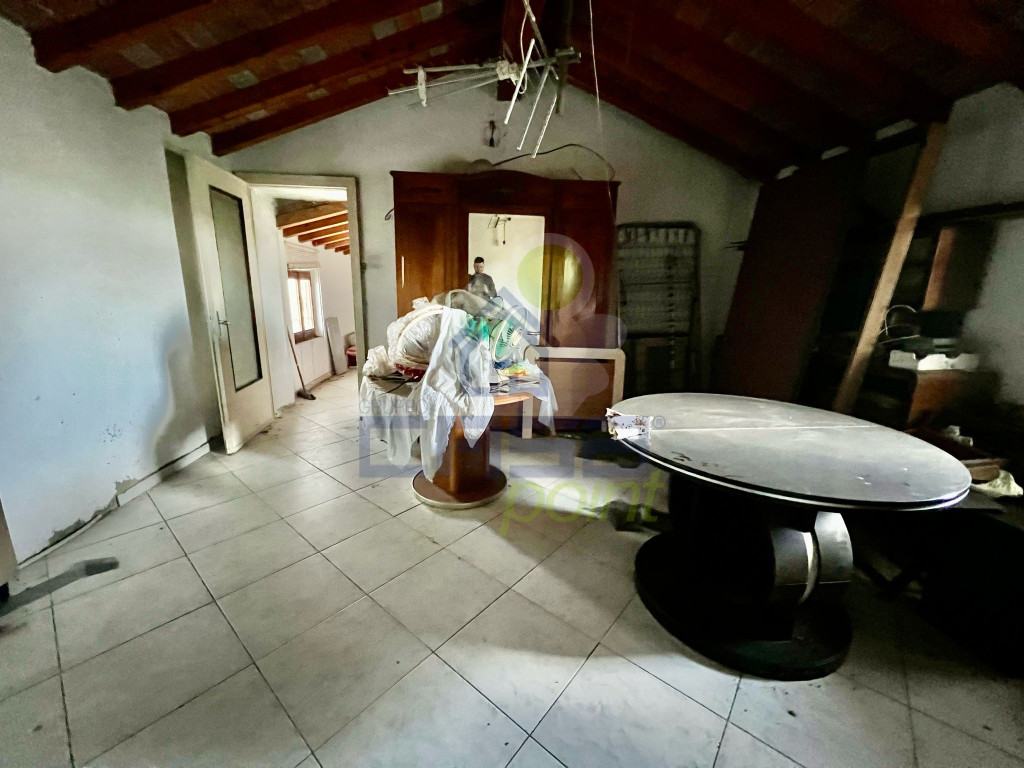 Immagine WhatsApp 2025-03-26 ore 18.54.49_9ca741a7.jpg