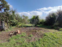 IMG20250417095256.jpg
